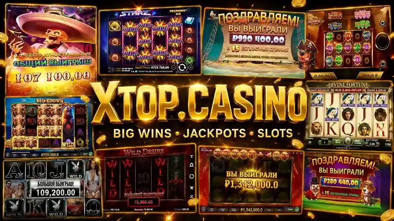 Avocado Casino — город 2026